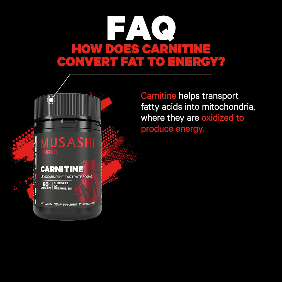 Carnitine 60 Capsules - Image 3