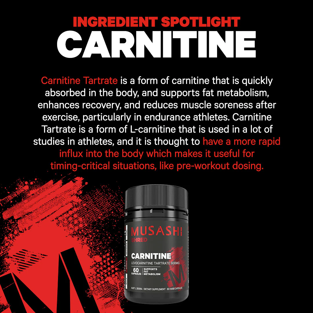 Carnitine 60 Capsules - Image 5