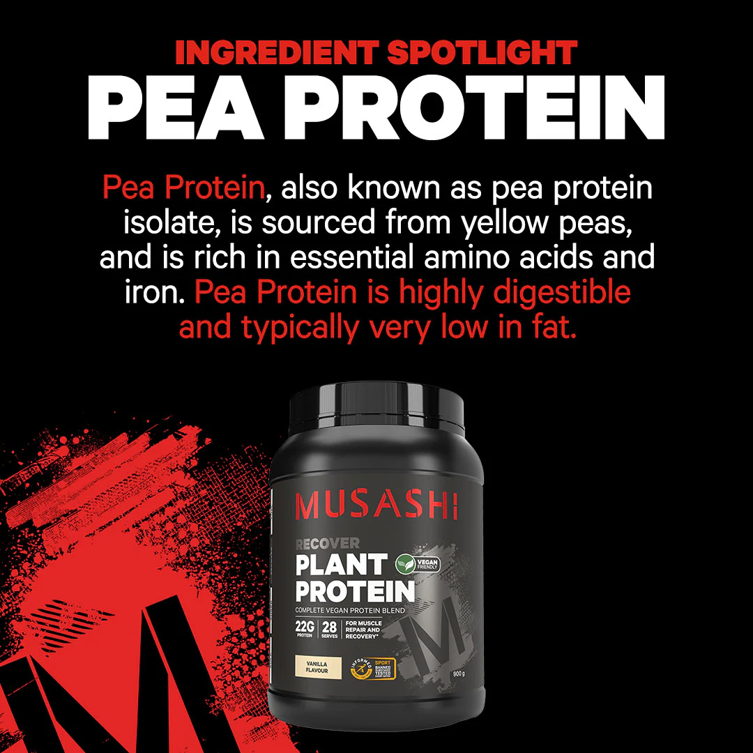Plant Protein Powder - Image 10