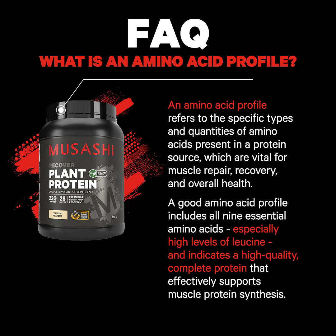 Plant Protein Powder - Image 8